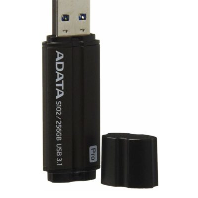 Memorie USB 3.1 256Gb