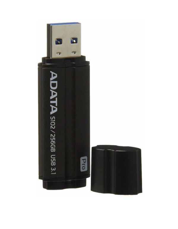 Memorie USB 3.1 256Gb