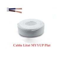 Cablu Electric MYYUP Plat